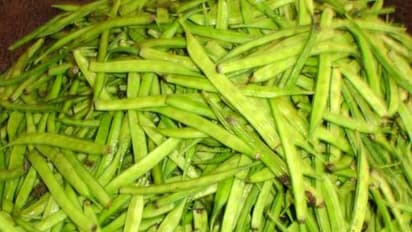 கொத்தவரையை வீட்டில் எப்படி வளர்க்கலாம்? இதை வாசிச்சு தெரிஞ்சு பயிரிடுங்கள்...