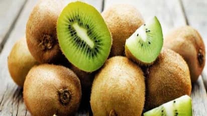 கிவி பழத்தில் பொதிந்து கிடக்கும் எண்ணிலடங்கா மருத்துவ பயன்கள்...