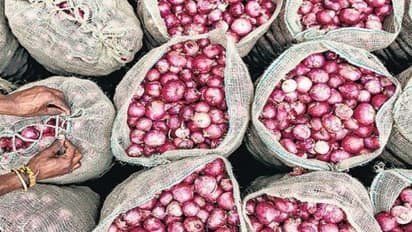 75 சென்டிலிருந்து 4500 கிலோ வெங்காயம் மகசூல் எடுக்கலாம். எப்படி?