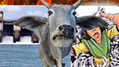 Holy Cow Is Karnataka BJP concentrating on Gau Raksha than development