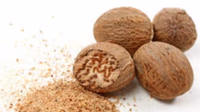 கடுக்காயில் இருக்கும் இவ்வளவு மருத்துவ குணங்களை தெரிஞ்சுக்கிட்டா ஆச்சரியத்தில் நீங்களே வாயை பிளப்பீங்க...