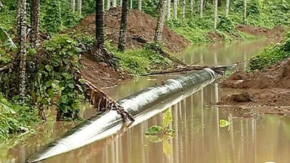 അപകടക്കെണിയൊരുക്കി ഗെയില് പൈപ്പ് ലൈന് കുഴികള്; 500 ഏക്കറോളം കൃഷിയിടം നശിച്ചു