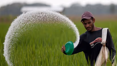 இயற்கை உரத்தை வீட்டிலேயே எப்படி தயாரிப்பது? தெரிஞ்சுக்க இதை வாசிங்க...