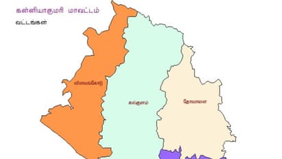 மின் அணுவில் கார்த்திகை அகல் விளக்குகள்; எக்செல் சென்ட்ரல் பள்ளி மாணவர்கள் சாதனை...