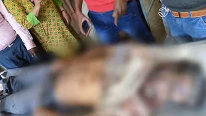 Forest fire: IFS officer killed in elephant attack in Mysuru [PIcs]