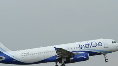 കൊതുക് ശല്യം പരാതിപ്പെട്ട യാത്രക്കാരനെ ഇന്റിഗോ വിമാനത്തില്നിന്ന് ഇറക്കിവിട്ടു