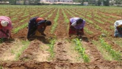 வருங்கால தொழிலதிபர்களே வருக! அழைக்கிறது தமிழ்நாடு வேளாண் பல்கலை கழகம்