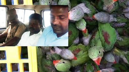 Shocking: Karnataka releases poacher after one phone call