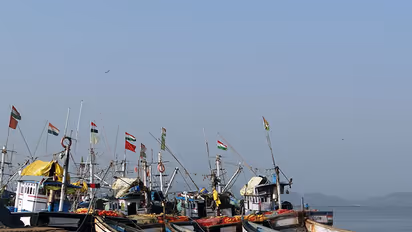TN Rajya Sabha MPs seek Govt intervention for fishermen's release