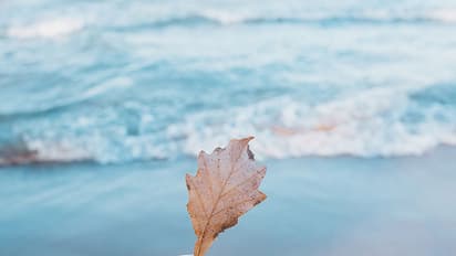 എന്നു മരിക്കുമെന്നറിഞ്ഞാല് നിങ്ങള് എന്തുചെയ്യും?