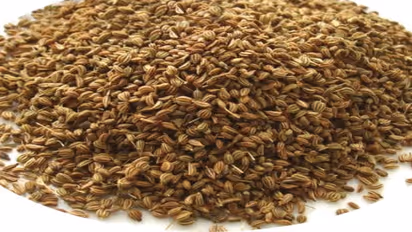 Omam benefits: ஓம விதையை சுவாசித்தால் இவ்வளவு நன்மை இருக்கா..? அடடே..! இவ்வளவு நாள் இது தெரியாம போச்சே..?