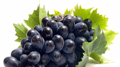 உங்களுக்குத் தெரியுமா? எல்லா வகையான திராட்சையிலும் வைட்டமின் ஏ சத்து அதிகளவில் இருக்கிறது…