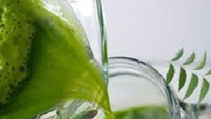 நில வேம்புக்கு பெருகும் ஆதரவு! சித்த மருத்துவ பிரிவுகளை அதிகரிக்க கோரிக்கை!