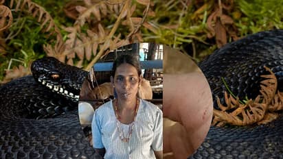 ഉഗ്രവിഷമുള്ള പാമ്പ് ഇവരെ എപ്പോഴും വേട്ടയാടുന്നു: ഞെട്ടിക്കുന്ന ജീവിത കഥ