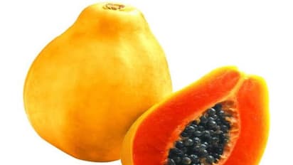 உங்களுக்குத் தெரியுமா? பப்பாளியை அடிக்கடி குழந்தைகளுக்கு கொடுத்தால் உடல் வளர்ச்சி துரிதமாகும்.