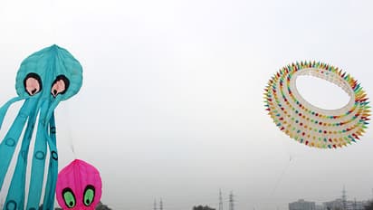 The Malabar kite festival goes international