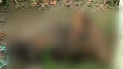 మహబూబాబాద్ జిల్లాలో మిస్టరీగా మారిన మామిడితోట మృతదేహం కేసు