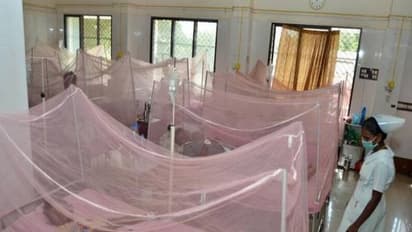 டெங்கு பாதிப்பு.. தினமும் சராசரியா 10 பேர் உயிரிழப்பு..! ஆனால் அரசுக்கு தெரிந்து இறப்புகள் இத்தனைதானாம்..!