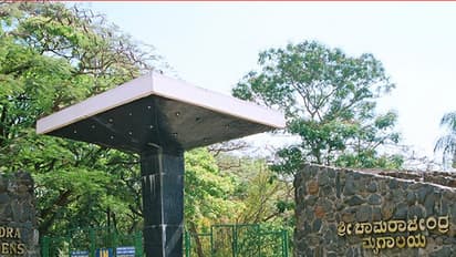 ಚಾಮರಾಜೇಂದ್ರ ಮೃಗಾಲಯದ ಹಲವು ಪ್ರಾಣಿಗಳ ದತ್ತು ಪಡೆದ RBI