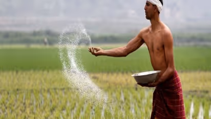 பயிர்களை பூச்சி தாக்குதலில் இருந்து காப்பற்ற உதவும் வேப்ப விதைக் கரைசல் தயாரிப்பது எப்படி?