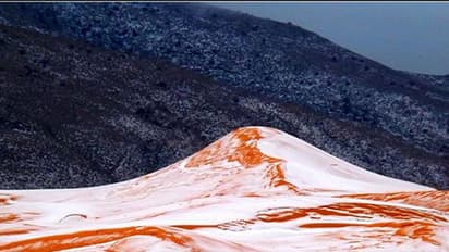 Snow falls on Sahara Desert for the first time