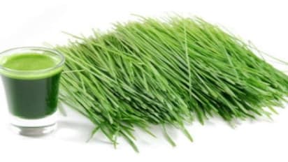 நீங்கள் அருகம்புல் சாறு குடித்தால் உங்களுக்கு இவ்வளவு நன்மைகள் கிடைக்கும்…