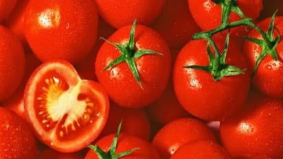 வீட்டுத் தோட்டத்தில் தக்காளி சாகுபடி செய்வது மிக எளிது... வாசிங்க தெரியும்...