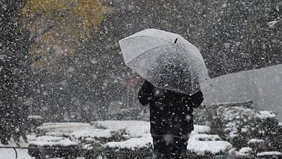 Experience of first snow is nothing less than love at first sight