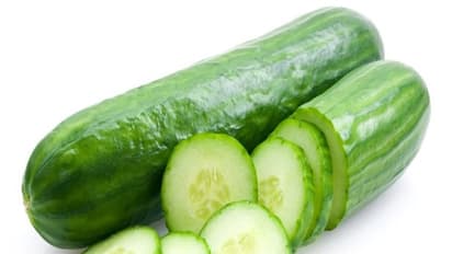 கோடைக்காலத்தில் ஏன் வெள்ளரிக்காய் சாப்பிடணும்? இதை படிச்சு தெரிஞ்சுக்குங்க...