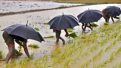8% ಮಳೆ ಕೊರತೆಯೊಂದಿಗೆ ಈ ಸಲದ ಮುಂಗಾರು ಅಂತ್ಯ