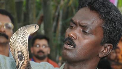 Vava suresh : 48 മണിക്കൂർ നിർണായകം, വാവ സുരേഷിനെ ആരോഗ്യനിലയിൽ നേരിയ പുരോഗതിയെന്ന് മെഡിക്കൽ ബുള്ളറ്റിൻ