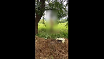 ''రైతుబంధు'' పరిహారం కోసం రైతు ఆత్మహత్య....