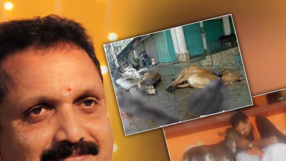 Kerala BJP leader courts controversy by posting 'fake photo' on cow slaughter