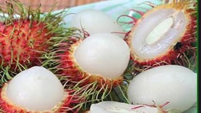 சந்தைக்கு வந்துள்ள புதிய பழங்களும் அவற்றினால் கிடைக்கும் பலன்களும்…