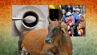 7 ways you were killing the ‘holy cow’ but had no clue