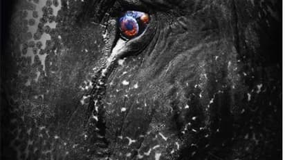 'ഗോഡ്സ് ഇന് ഷാക്കിള്സ്' ഡോക്യുമെന്ററി പ്രദര്ശനം തിരുവനന്തപുരത്തും