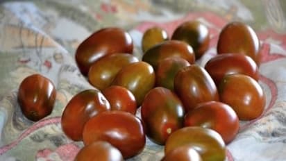 புற்றுநோய் மற்றும் இதய நோயில் இருந்து நம்மை பாதுகாக்கும் கருஞ்சிவப்பு தக்காளி - கேள்விப்பட்டதுண்டா?