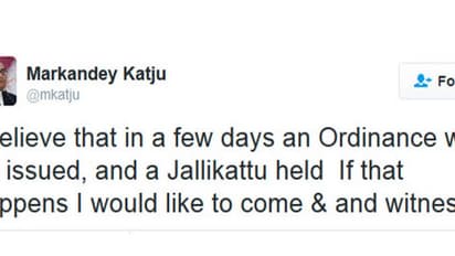 ஜல்லிக்கட்டு நடக்கும்; நேரில் வந்து பார்ப்பேன் - மார்க்கண்டேய கட்ஜூ உற்சாகம்