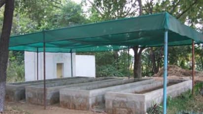 மண்புழு உர உற்பத்திக்கான கட்டமைப்பு ஒரு பார்வை...