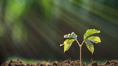 மண்வளத்தை அளிக்கும் ஏழு இயற்கை காரணிகள்; செலவு குறைவு பயன்பாடு அதிகம்...