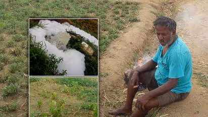 Farming takes a hit as acid water runs into fields near Varthur
