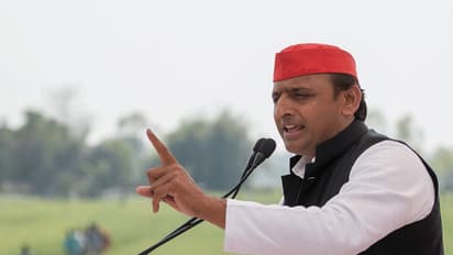 After BSP, Samajwadi Party rules out alliance with Congress ahead of elections