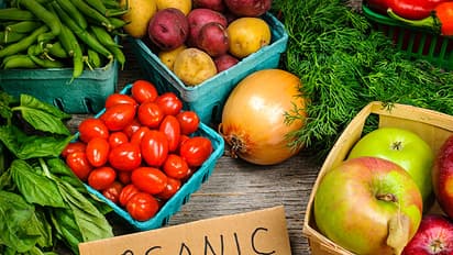 organic farming: సేంద్రీయ వ్యవసాయంతో లాభాలెన్నో..