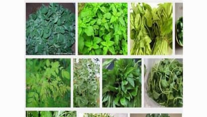 பன்னிரெண்டு வகையான கீரைகளும், அவை நமக்கு வாரி வழங்கும் மருத்துவ நன்மைகளும்...