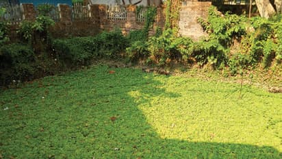 കോഴിക്കോട് 1119 ജലാശയങ്ങള് ശുചിയാക്കാന് പദ്ധതിയൊരുങ്ങുന്നു