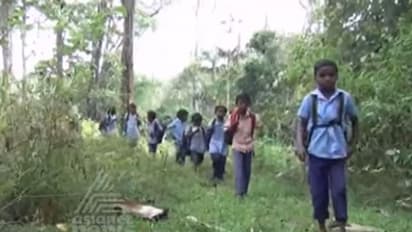 കുടിശ്ശിക കോടികള്; ഗോത്രസാരഥി പദ്ധതി താളം തെറ്റുന്നു