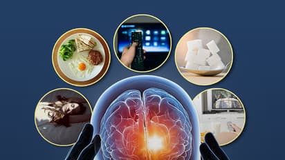 ಮನುಷ್ಯನ ಮೆದುಳು: ಆಪ್ಶನ್ ಇಲ್ಲ ಇದರ ಬದಲು!