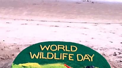 ಇಂದು ವಿಶ್ವ ವನ್ಯಜೀವಿ ದಿನ; ಪಟ್ನಾಯಕ್ ಕೈಯಲ್ಲಿ ಅರಳಿದ ಸ್ಯಾಂಡ್ ಆರ್ಟ್
