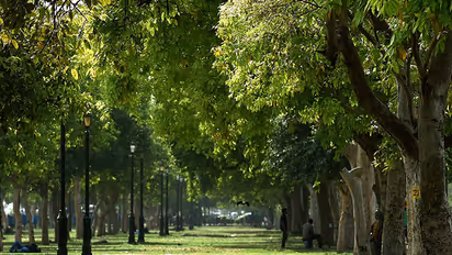 Kerala Forest Deparment Museum