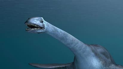 അന്റാര്ട്ടിക്ക മേഖലയിലുണ്ടായിരുന്ന ഭീകരജീവിയെക്കുറിച്ച് തെളിവുകള്